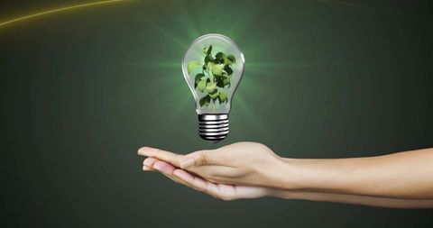 Hand Holding Light Bulb with Growing Plant Symbolizing Eco Innovation - Download Free Stock Images Pikwizard.com