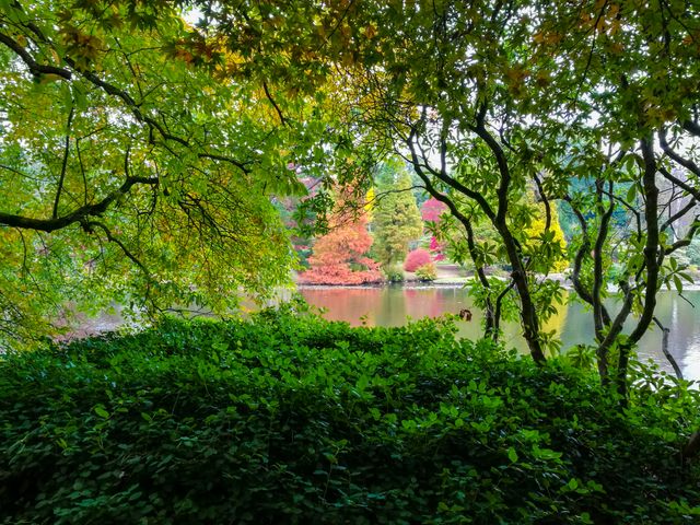 Scenic Park View with Vibrant Autumn Foliage Around Lake - Download Free Stock Photos Pikwizard.com