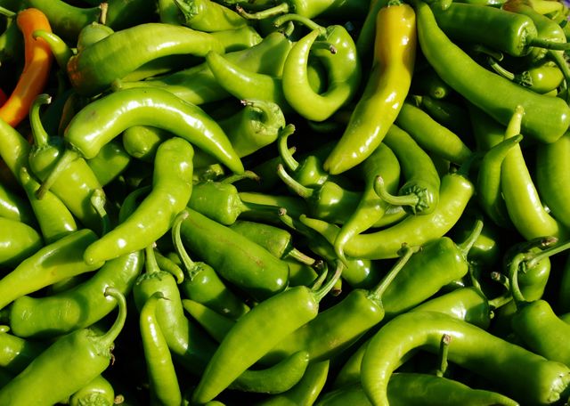 Fresh green chili peppers in a large pile, perfect for adding spice to dishes. Great for use in food blogs, healthy eating guides, cooking websites, or restaurant menus to showcase fresh produce and cooking ingredients. Vibrant color can make it suitable for backgrounds or health-oriented designs.
