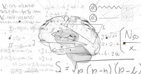 Digital Brain with Mathematical Equations on White Background - Download Free Stock Images Pikwizard.com