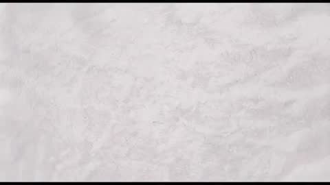 Abstract Gray Shapes Moving on White Surface