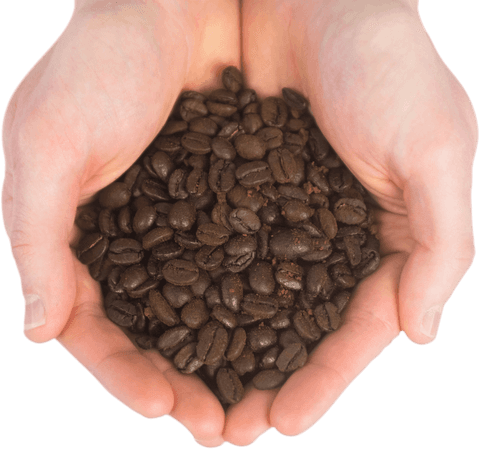 hands holding coffee beans transparent background - Download Free Stock Videos Pikwizard.com
