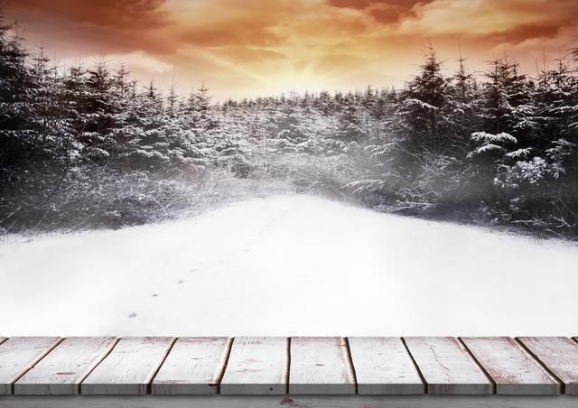 Digital composition of pine trees on snowy landscape with wooden boardwalk