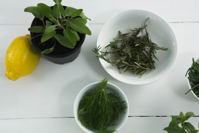Fresh herbs including rosemary, dill, and sage are arranged in bowls with a lemon on a white background. This image is perfect for use in culinary blogs, healthy eating websites, organic food promotions, and kitchen decor inspiration.