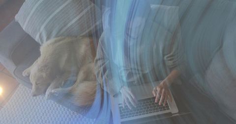 Typing on laptop with dog curling up on couch at home, soft lamp glow and cozy ambience