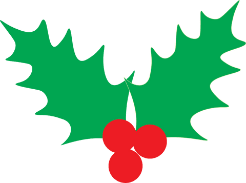 Festive Christmas Wreath Holly Branch on Transparent Background - Download Free Stock Videos Pikwizard.com