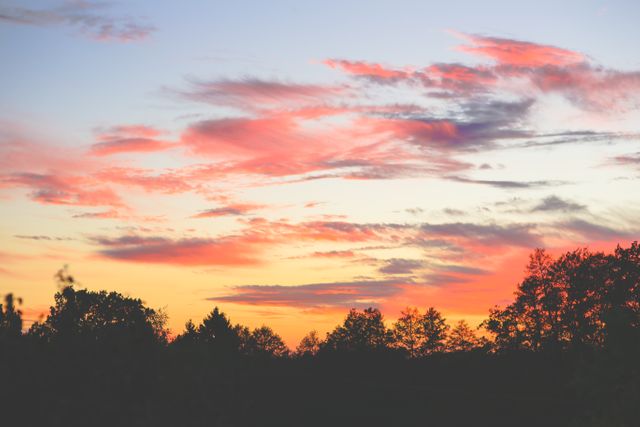 Beautiful Pink and Orange Sunset Behind Trees - Download Free Stock Photos Pikwizard.com