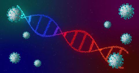 Twisting dna helix with floating virus-like particles