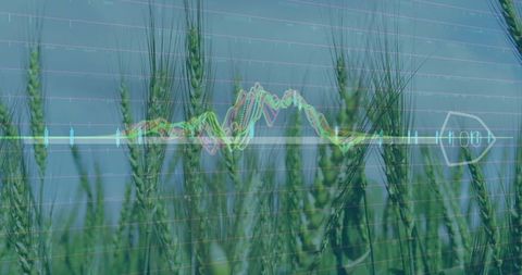 Wheat field with overlay of data analytics and graphs