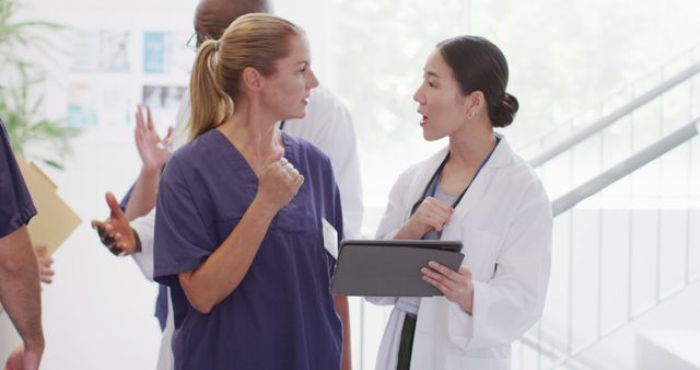 Medical professionals engage in collaborative discussion about patient information in a hospital hallway. Useful for illustrating teamwork in healthcare settings, medical consultations, doctor-nurse interactions, and clinical environments.