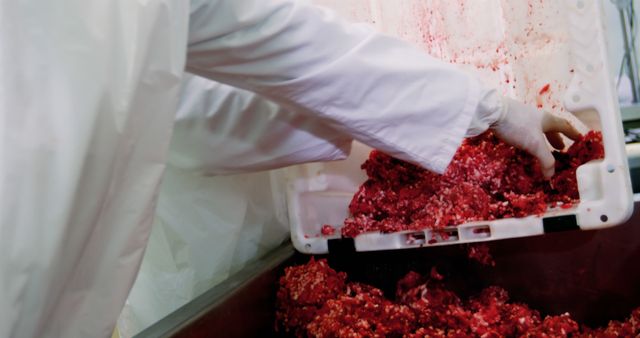 Butchers Handling Fresh Minced Meat in White Container - Download Free Stock Images Pikwizard.com