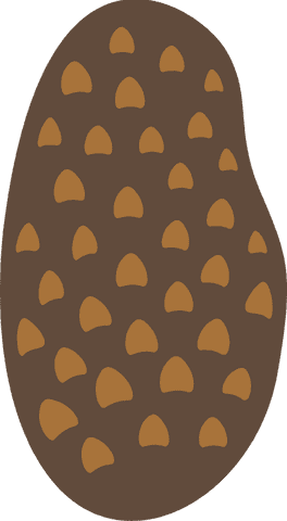 abstracty brown form with earthy patchy pattern transparent background - Download Free Stock Videos Pikwizard.com