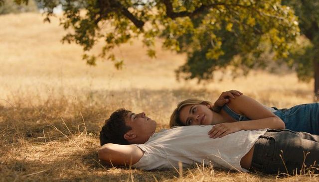 Teen couple resting on golden grass under oak tree, lying together in sunlit meadow