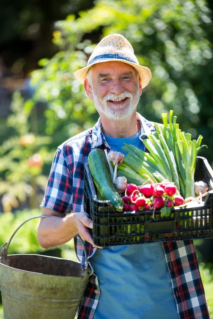 Portrait of senior man holding crate of fresh vegetables in garden on a sunny day