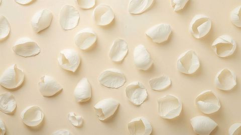 Broken white eggshells on beige surface