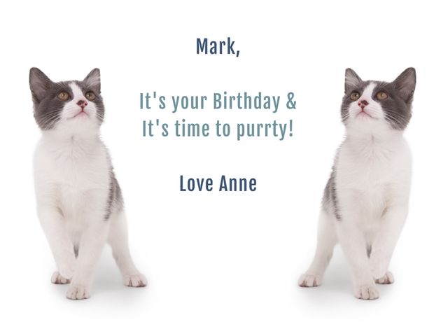 Cute Cats Birthday Greeting for Pet Lovers' Special Occasion - Download Free Stock Templates Pikwizard.com