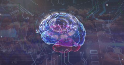 Futuristic Digital Brain with Circuit Connectivity in Virtual Space - Download Free Stock Images Pikwizard.com