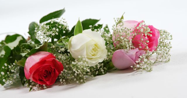 Bouquet of red, white and pink roses on white background. Valentines day concept 4k