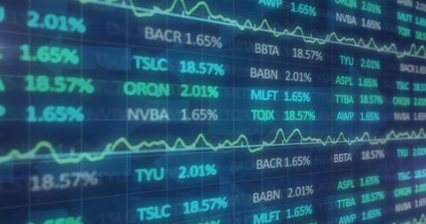 Dynamic financial data analysis on digital interface