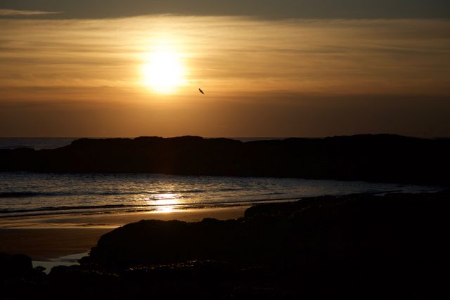 Blue Seashore during Sunset - Download Free Stock Photos Pikwizard.com