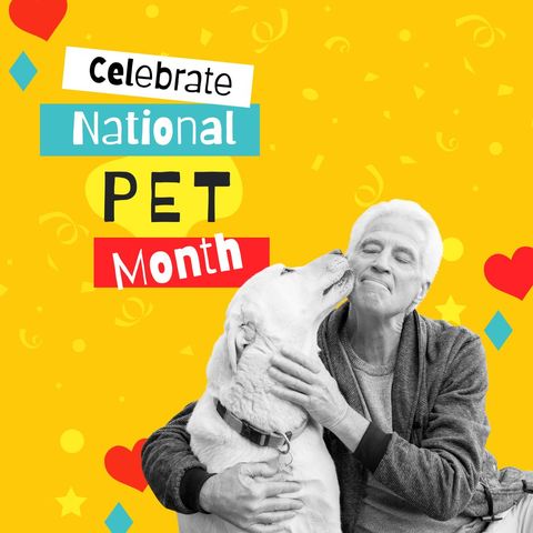 celebrate national pet month with senior man and dog photo - Download Free Stock Templates Pikwizard.com