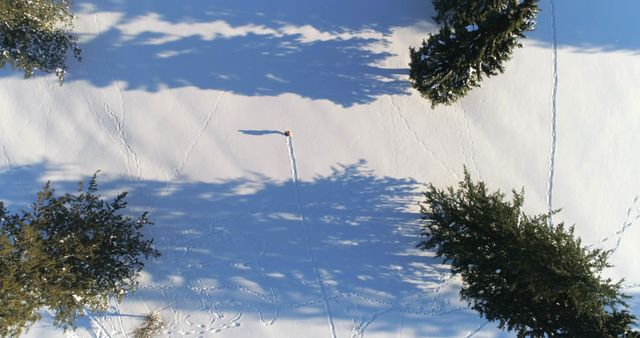 Aerial View of Snowy Field with Lone Walker and Shadows - Download Free Stock Images Pikwizard.com