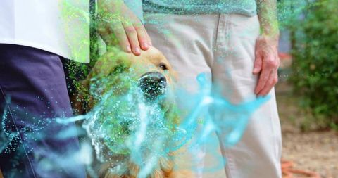 Multigenerational women patting golden retriever in backyard with blue-green splash