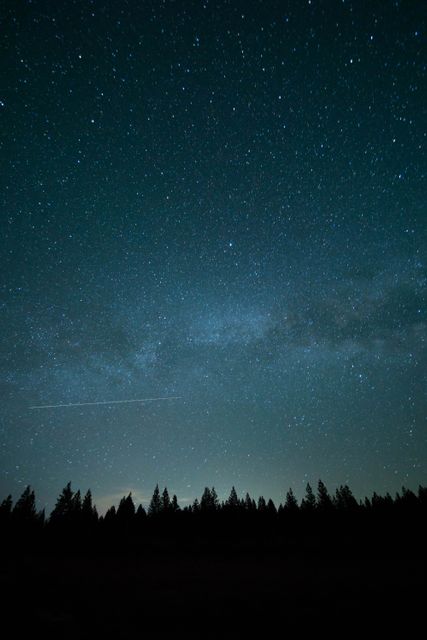 Clear star-filled night sky with the Milky Way visible above a forested horizon. Perfect for use in projects relating to nature, astronomy, relaxation, and cosmic wonder. Ideal for website headers, backgrounds, and posters.