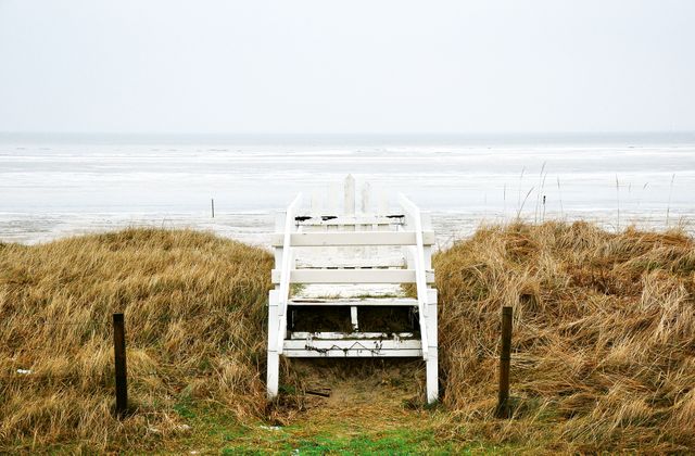 Rustic Staircase Leading to Tranquil Beach on a Cloudy Day - Download Free Stock Images Pikwizard.com