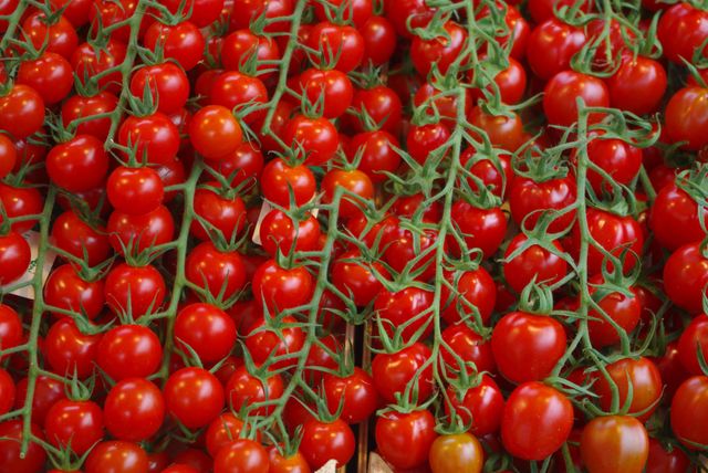 Image showcases fresh red cherry tomatoes still on the vine, evoking ideas of organic farming and healthy eating. This can be used in marketing for agriculture, healthy food blogs, recipe websites, or farmers market promotions.