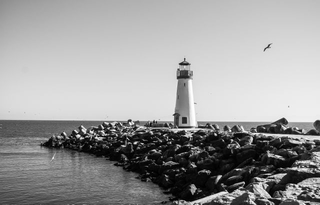 Black and white view of historic lighthouse by rocky shoreline with ocean and sky in background. Ideal for themes in vintage travel, nautical journeys, coastal living, and serene landscapes. Useful for website backgrounds, travel literature, and decor involving marine life and historic architecture.