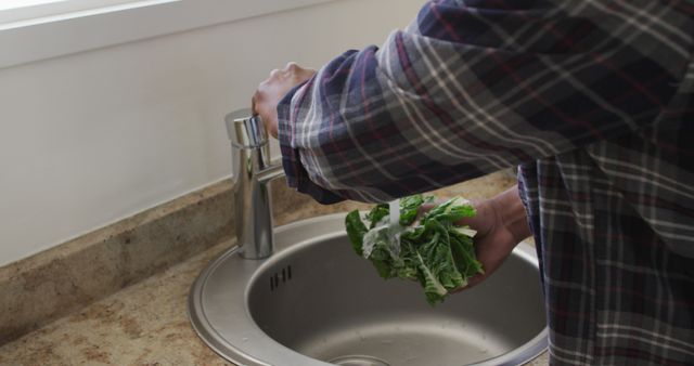 Person washing fresh lettuce leaves at kitchen sink - Download Free Stock Images Pikwizard.com