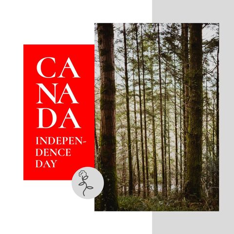 Canada Independence Day Forest Scene - Download Free Stock Templates Pikwizard.com