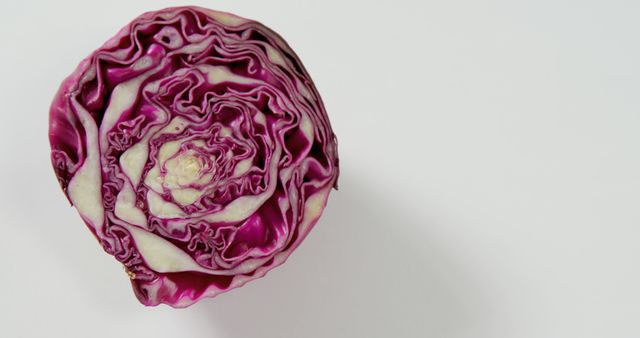 Close up of cut in half fresh red cabbage on white background, copy space. Health, diet and food.
