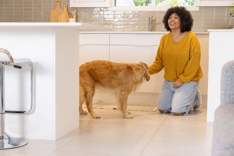 African american woman kneeling in modern kitchen petting golden retriever, smiling warmly