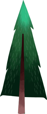 stylized evergreen tree with transparent background vector design - Download Free Stock Videos Pikwizard.com