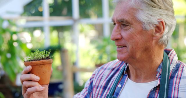 An elderly man is smiling while holding a small potted plant in a greenhouse garden filled with various plants. He is wearing a plaid shirt and an apron, suggesting he is engaged in gardening or floriculture. This image can be used for promoting gardening, active retirement, healthy hobbies, botanicals, and plant care educational materials.
