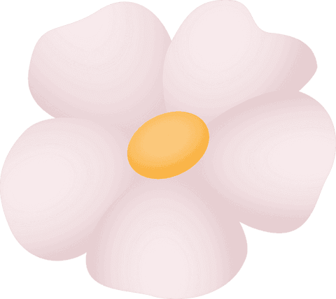 Minimalist pale pink floral design on transparent background