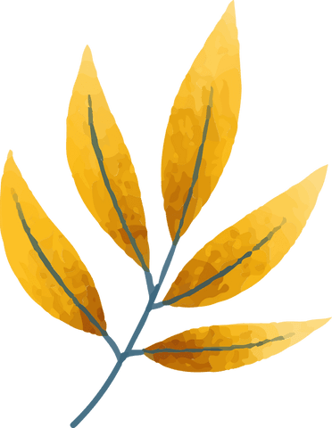 Watercolor Golden Yellow Leaves on Transparent Background - Download Free Stock Videos Pikwizard.com