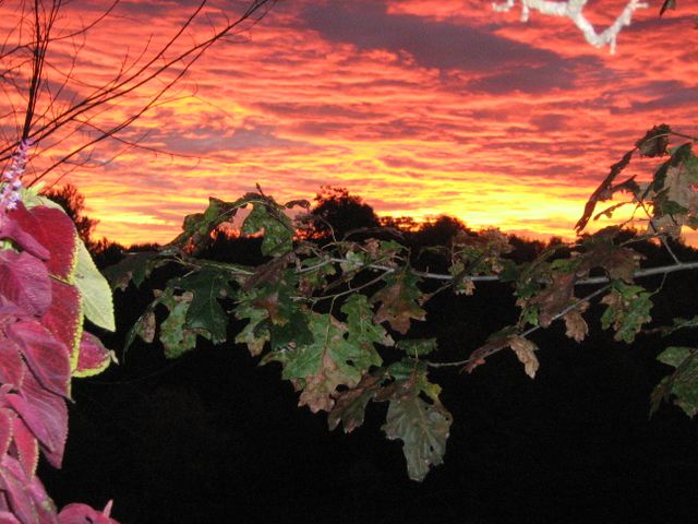 Fiery sunset red sky sky - Download Free Stock Photos Pikwizard.com