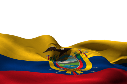 ecuador flag waving on transparent background devoid of clouds - Download Free Stock Videos Pikwizard.com