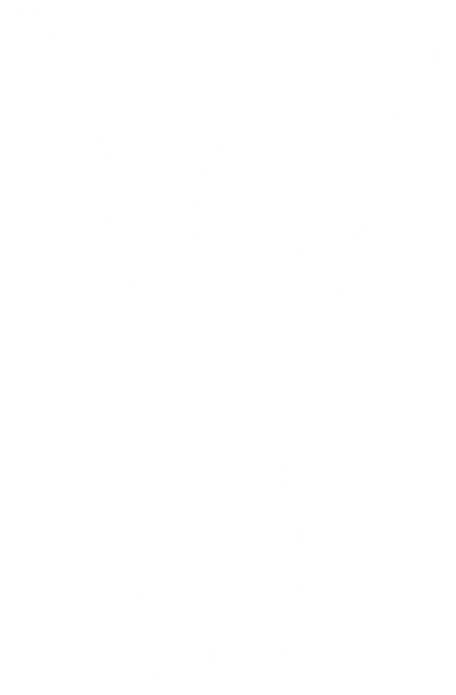 Transparent Silhouette of Woman Celebrating, Sport Concept Vector - Download Free Stock Videos Pikwizard.com