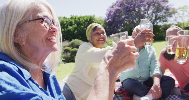 Senior Friends Cheering at Outdoor Picnic on Sunny Day - Download Free Stock Images Pikwizard.com