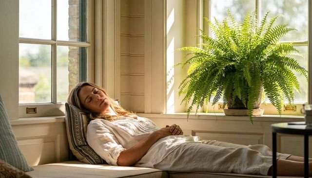 Sunlit woman resting on linen daybed by paned window with lush fern and cushion