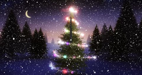 Illuminated Christmas Tree in Snowy Moonlit Forest - Download Free Stock Images Pikwizard.com