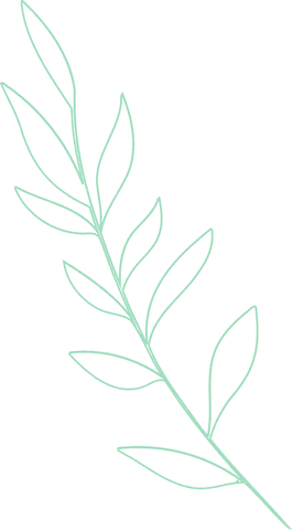 transparent minimal green branch line art for nature and design projects - Download Free Stock Videos Pikwizard.com