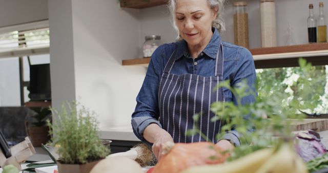 Senior Woman Preparing Meal in Modern Kitchen with Fresh Vegetables - Download Free Stock Images Pikwizard.com