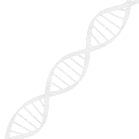transparent dna strand icon for science and medicine design - Download Free Stock Videos Pikwizard.com