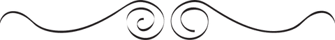 Elegant Black Decorative Swirl Design on Transparent Background - Download Free Stock Videos Pikwizard.com