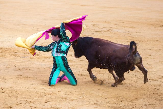 Bullfighter dressed in traditional green and black outfit holding a cape while performing during a bullfighting event. Brown bull charges at the matador as he kneels in the sandy ring. Ideal for content about Spanish culture, traditional sports, bravery, and historical events. Can be used in articles, blogs, and educational materials discussing bullfighting traditions, cultural festivals, and spectacle shows.